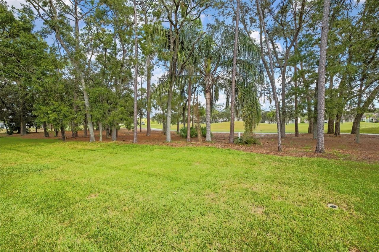 3076 Saw Mill Lane , Spring Hill, FL 34606 Photo