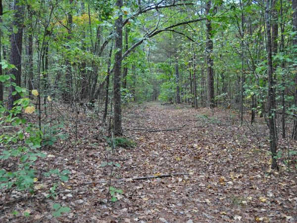 000 Skip Lane , Bee Branch, AR 72013