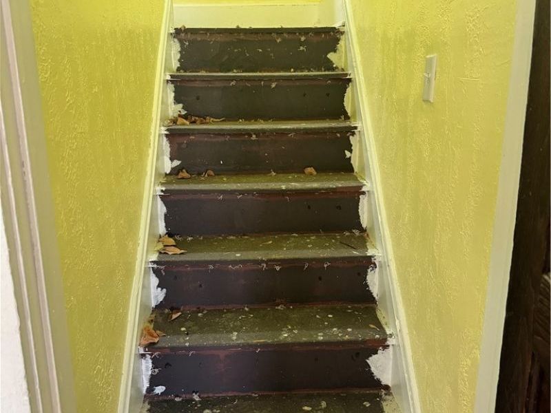 517 E 107th Street, Cleveland, OH 44108 Photo 21