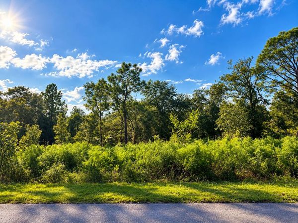 N/a SW Winding Hills  Road, Dunnellon, FL 34431