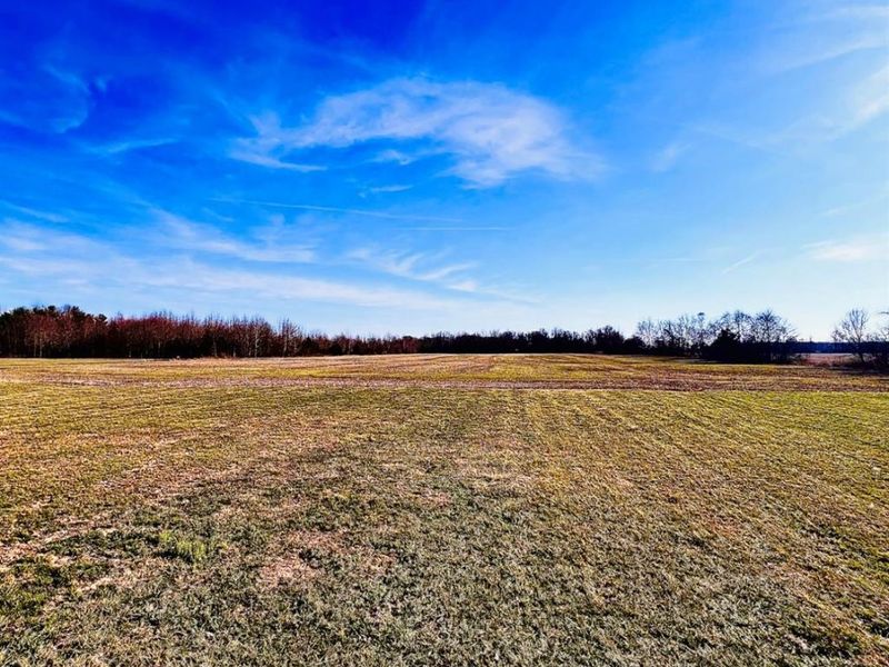 1420 Rose Hill Road, Lewis Township, OH 45130 Photo 4