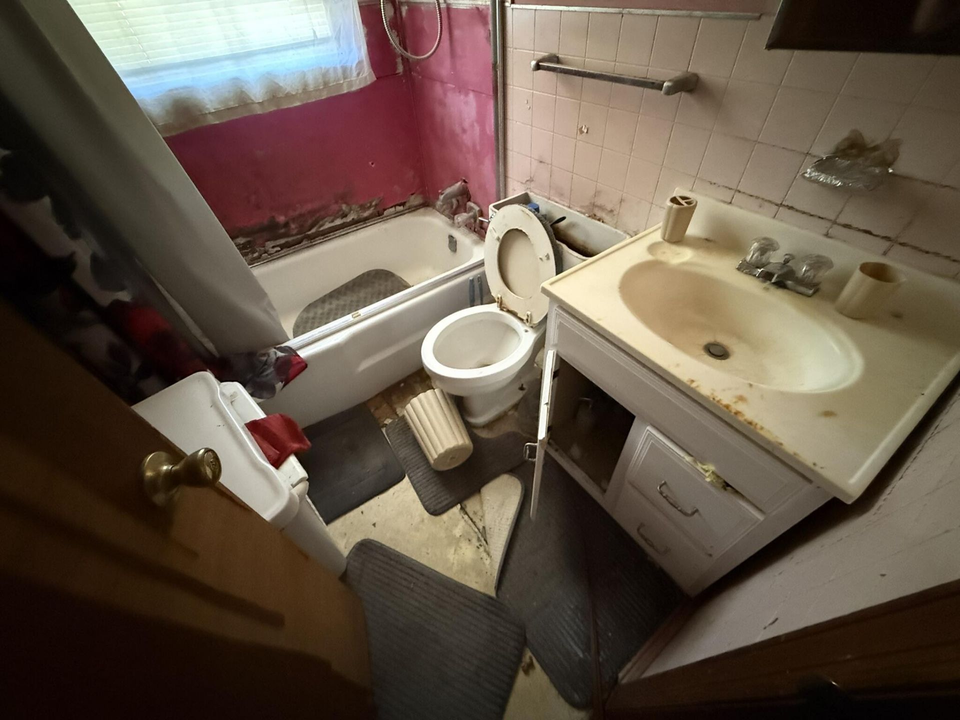 1017 Harlin Street Photo 11