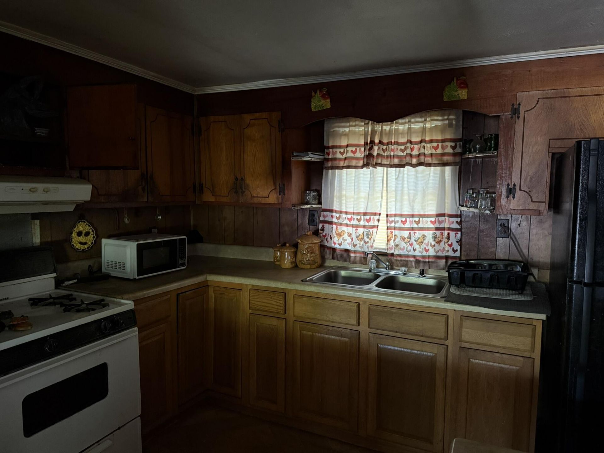 1017 Harlin Street Photo 7