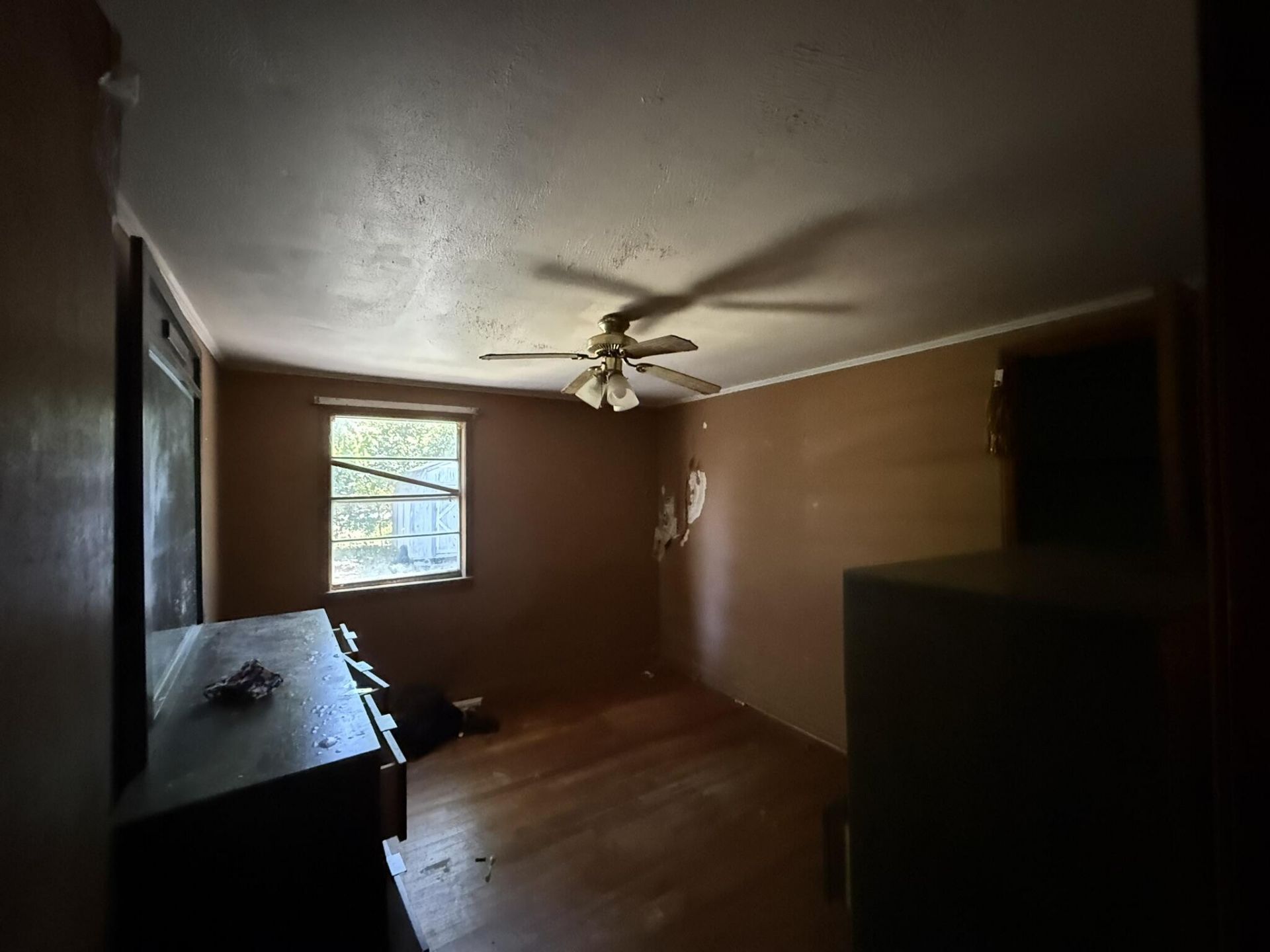 1017 Harlin Street Photo 9