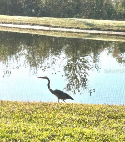 6827 Gosport Cove, Bradenton, FL 34202 Photo