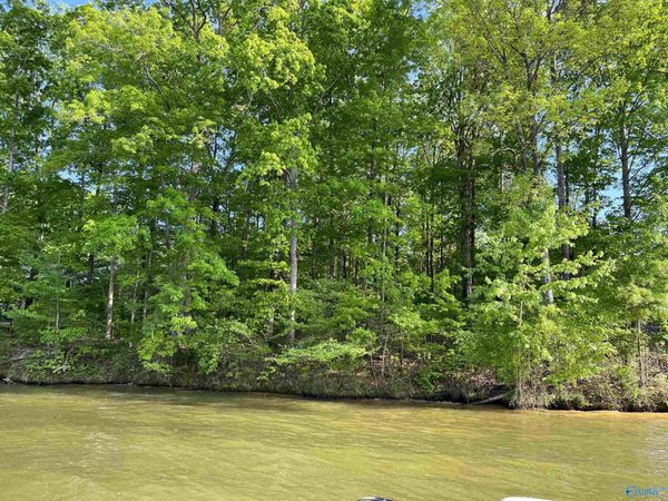 Lot 4 County Road 489, Centre, AL 35960