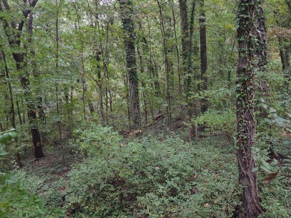 703 Chambers Drive NE, Huntsville, AL 35801