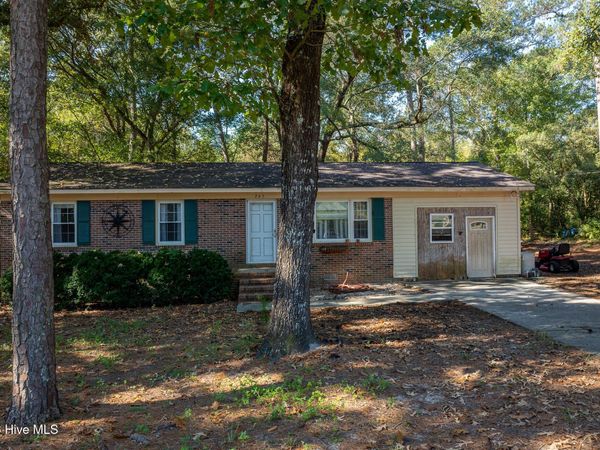 245 Tracy Brown Road , Magnolia, NC 28453