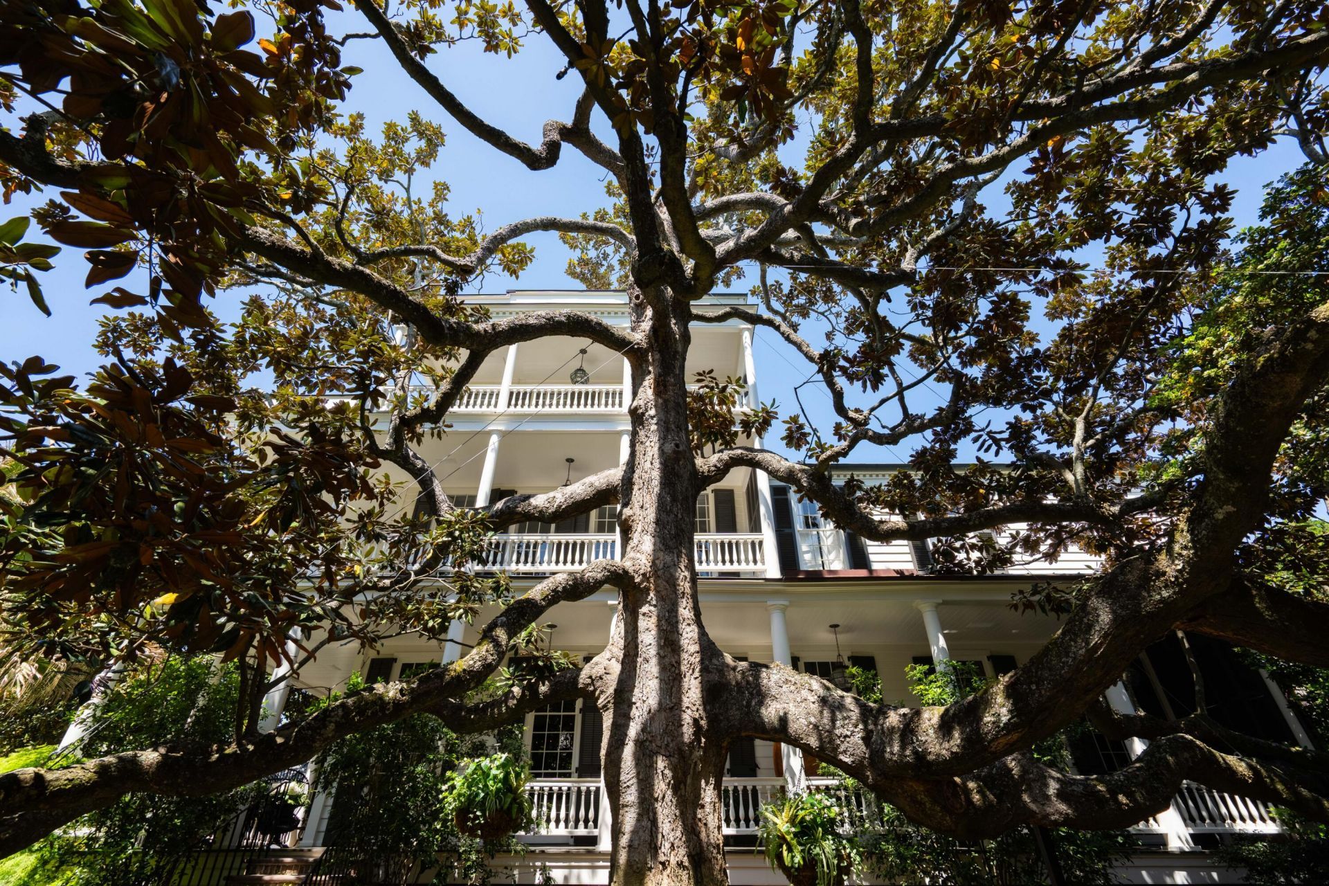 32 Legare Street Photo 153