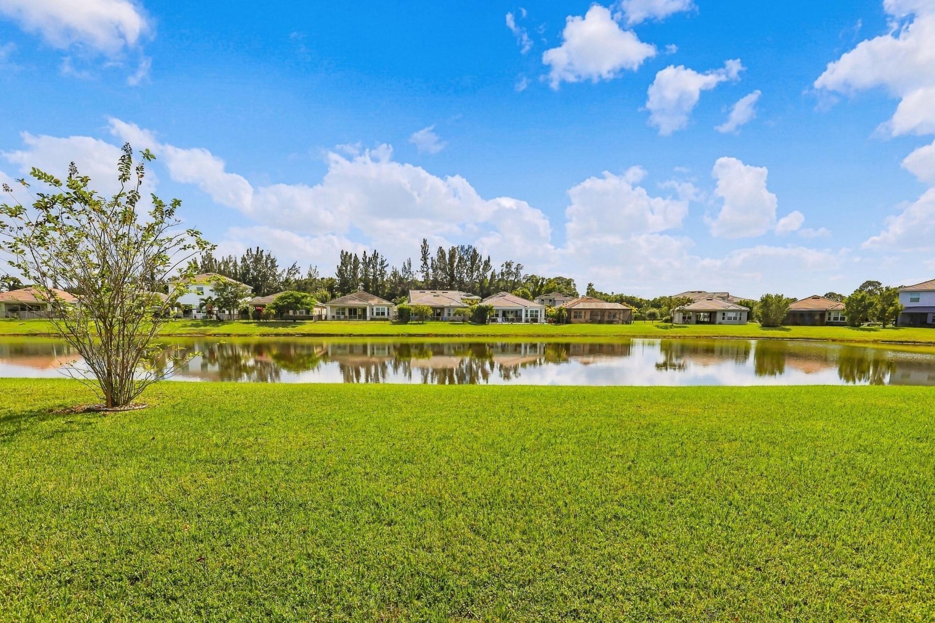 16159 Melogold Drive, The Acreage, FL 33470 Photo