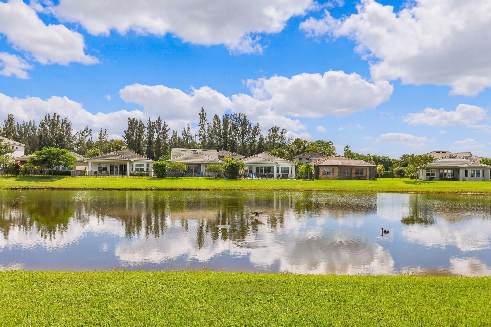 16159 Melogold Drive, The Acreage, FL 33470 Photo