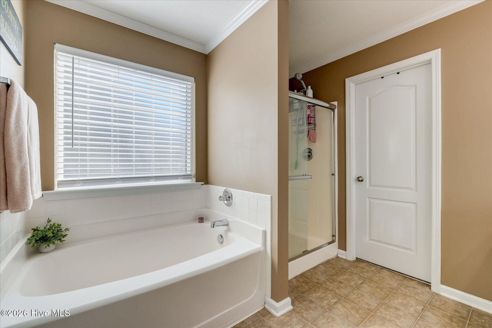 3162 Chamomile Court Photo 34