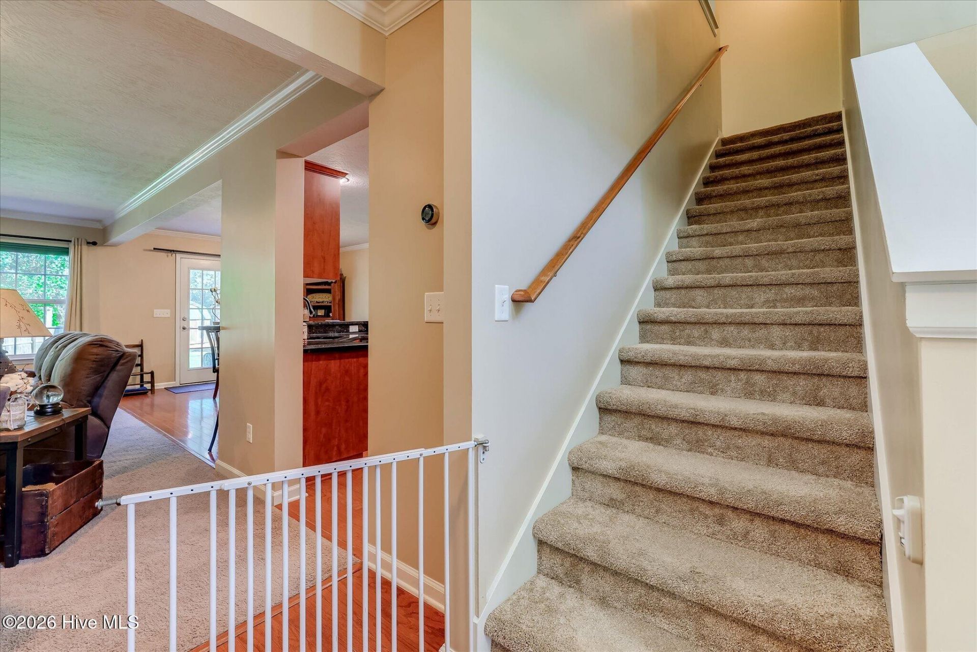3162 Chamomile Court Photo 38