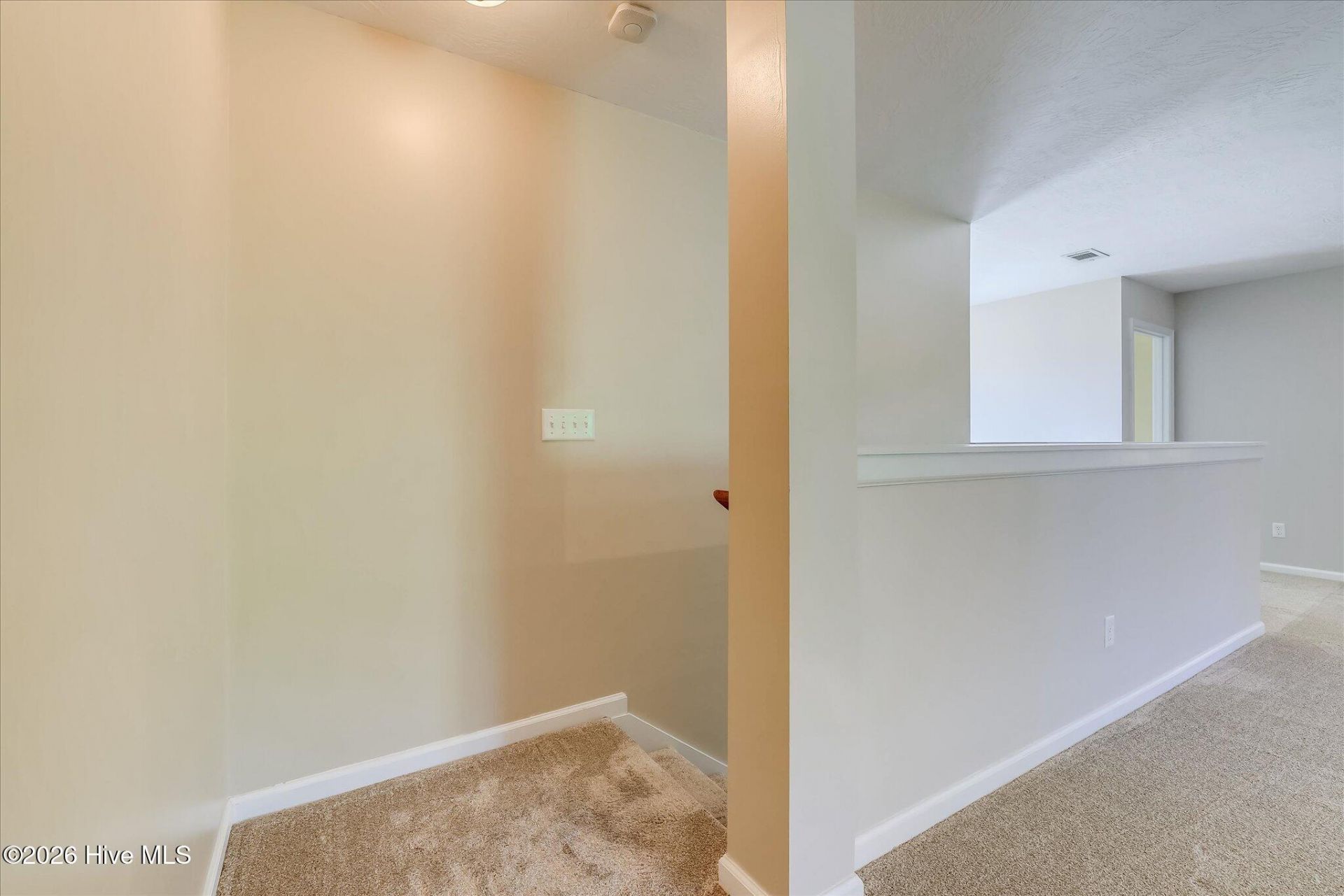3162 Chamomile Court Photo 39