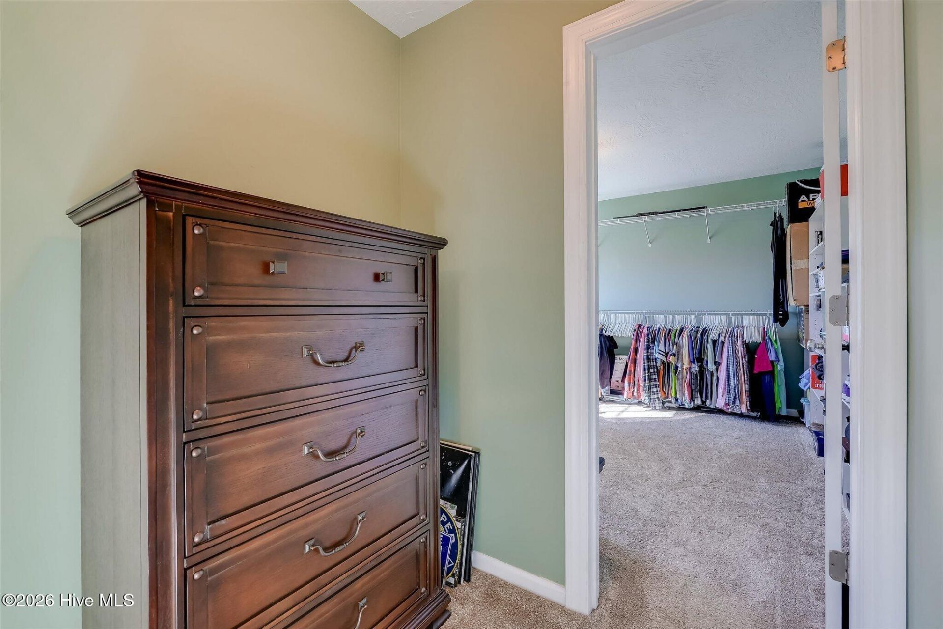 3162 Chamomile Court Photo 50