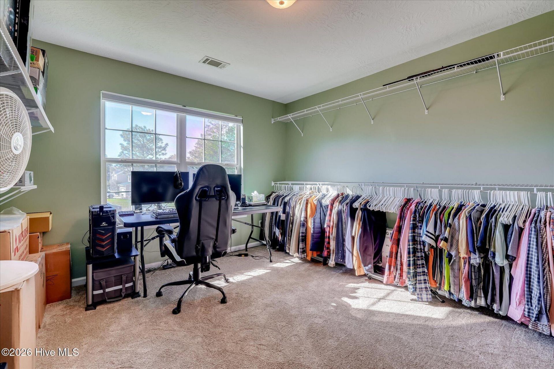 3162 Chamomile Court Photo 51