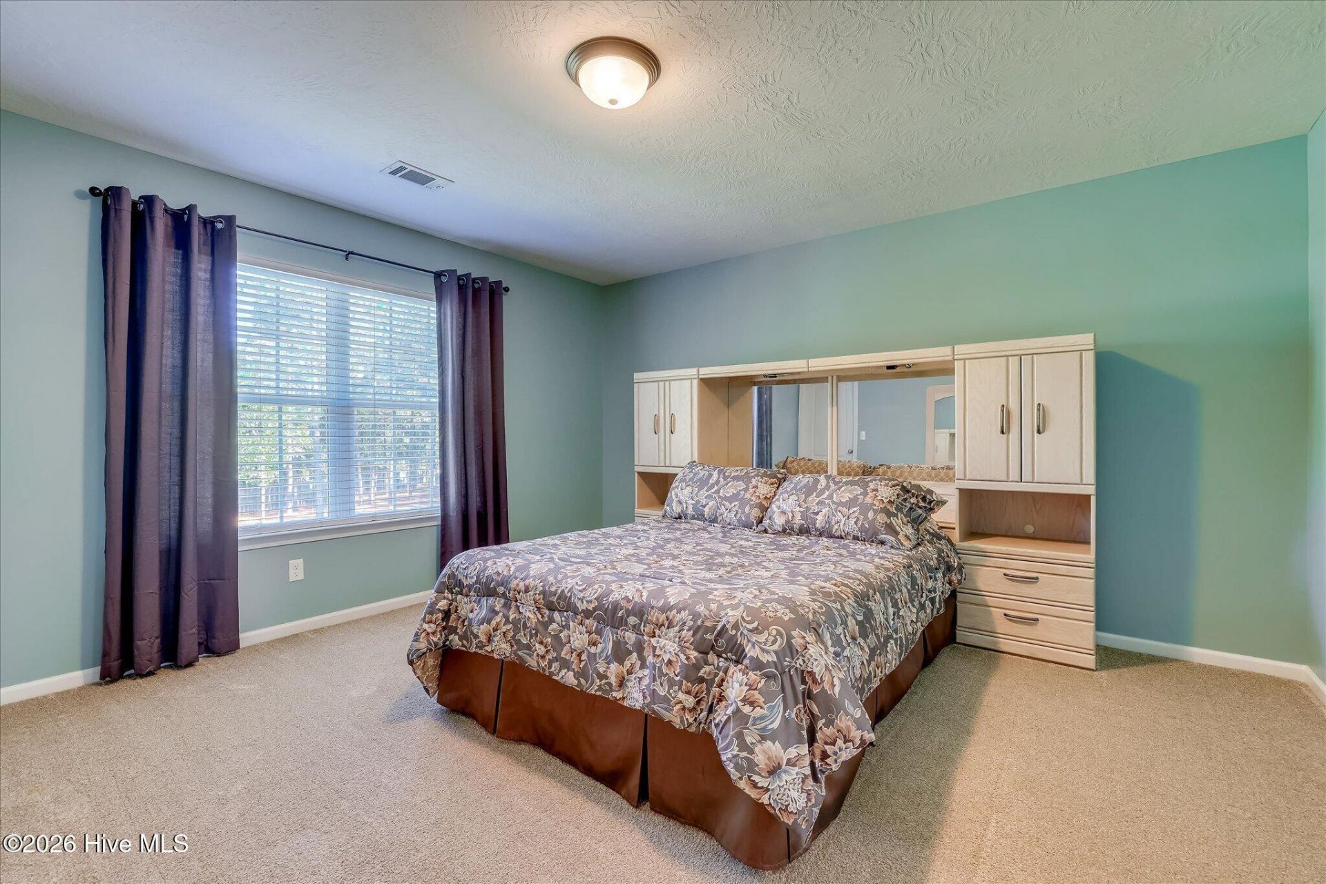 3162 Chamomile Court Photo 54
