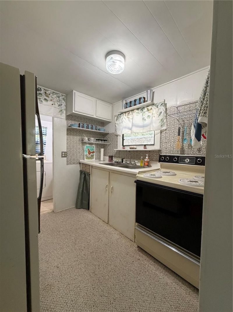 20800 NE 146th Terrace , Fort Mc Coy, FL 32134 Photo