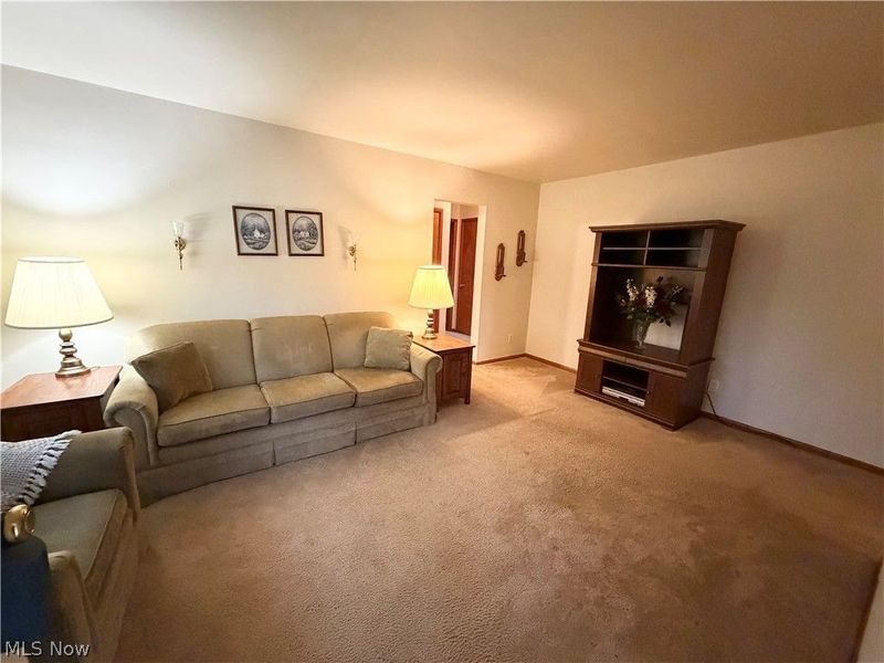 1501 Gypsy Lane, Niles, OH 44446 Photo 6