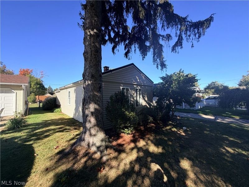 1338 Ormond Avenue, Madison, OH 44057 Photo 17