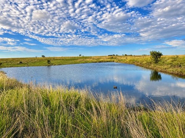 1902 Savanna Ridge Ranch RD , Lometa, TX 76853