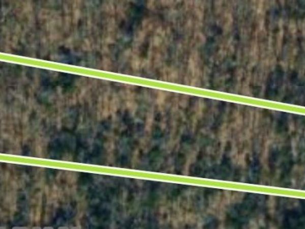 5 Delina Rd , Cornersville, TN 37047
