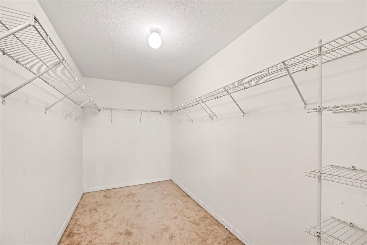 1501 Climbing Dayflower Drive , Ruskin, FL 33570 Photo