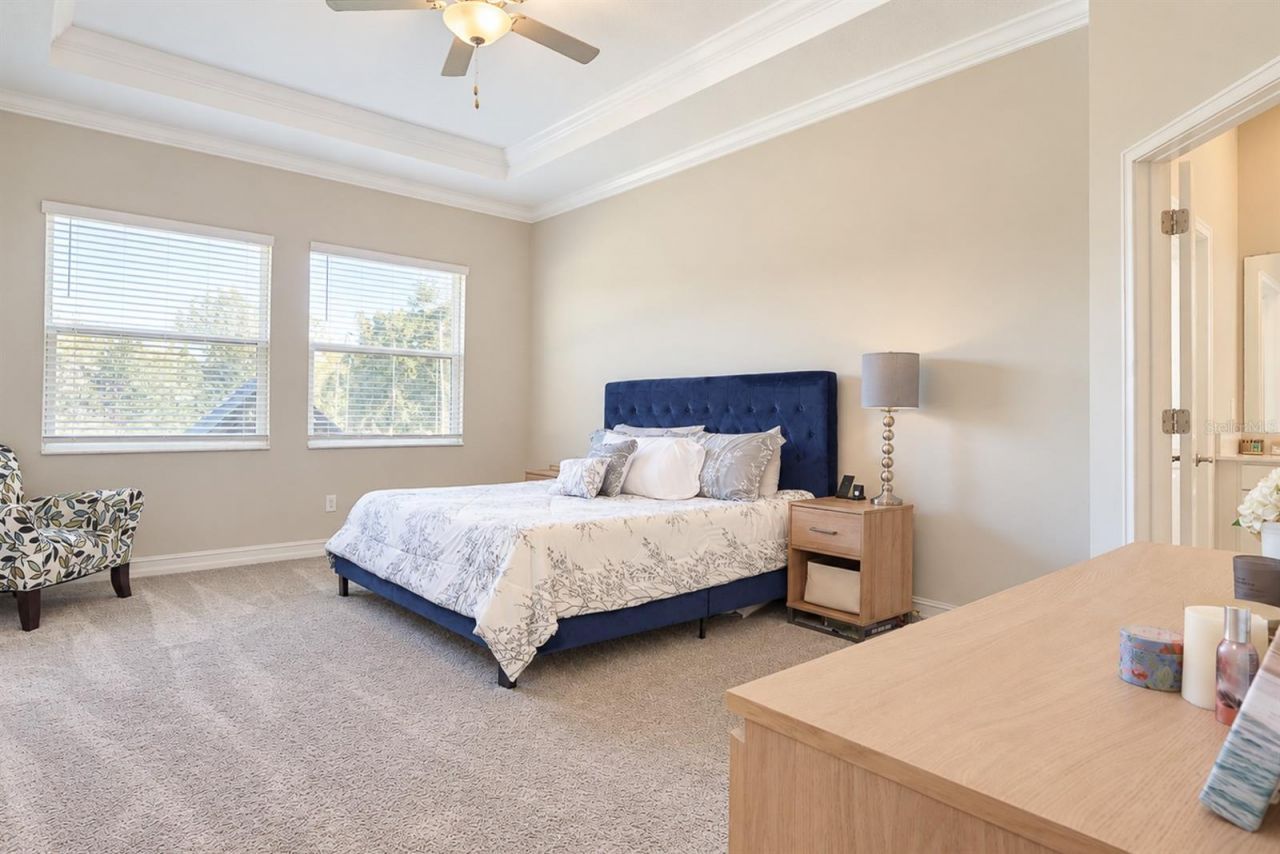 21481 Snowy Orchid Terrace, Land O Lakes, FL 34637 Photo