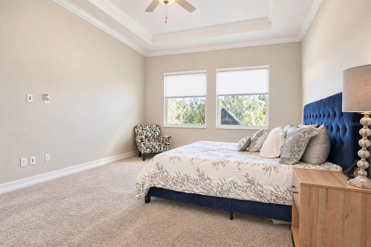 21481 Snowy Orchid Terrace, Land O Lakes, FL 34637 Photo