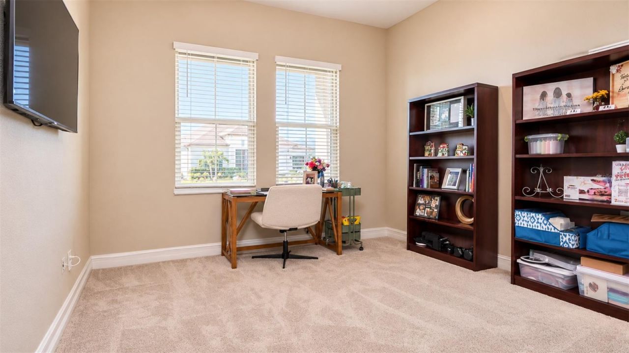 21481 Snowy Orchid Terrace, Land O Lakes, FL 34637 Photo