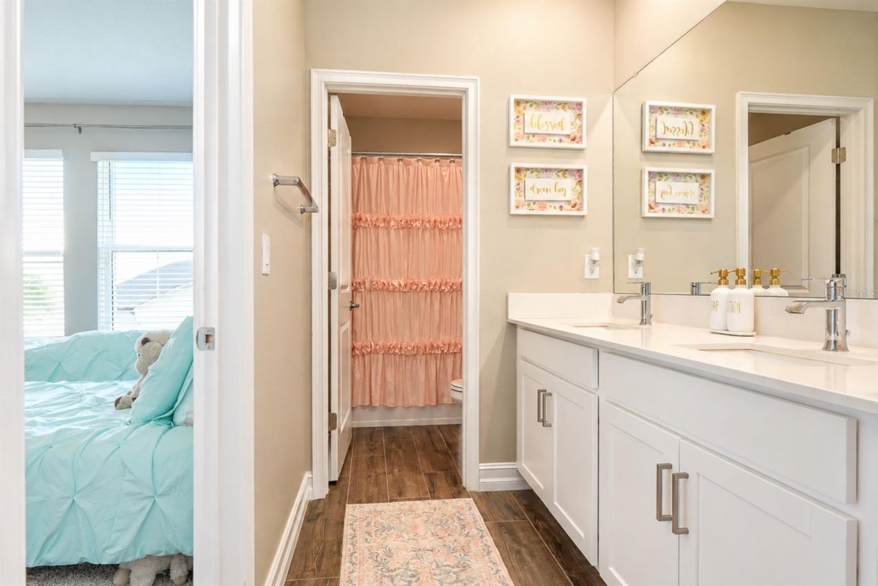 21481 Snowy Orchid Terrace, Land O Lakes, FL 34637 Photo