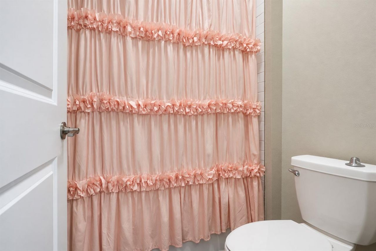 21481 Snowy Orchid Terrace, Land O Lakes, FL 34637 Photo