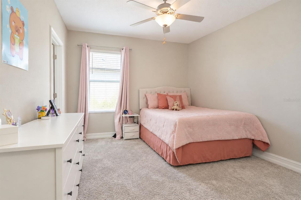 21481 Snowy Orchid Terrace, Land O Lakes, FL 34637 Photo
