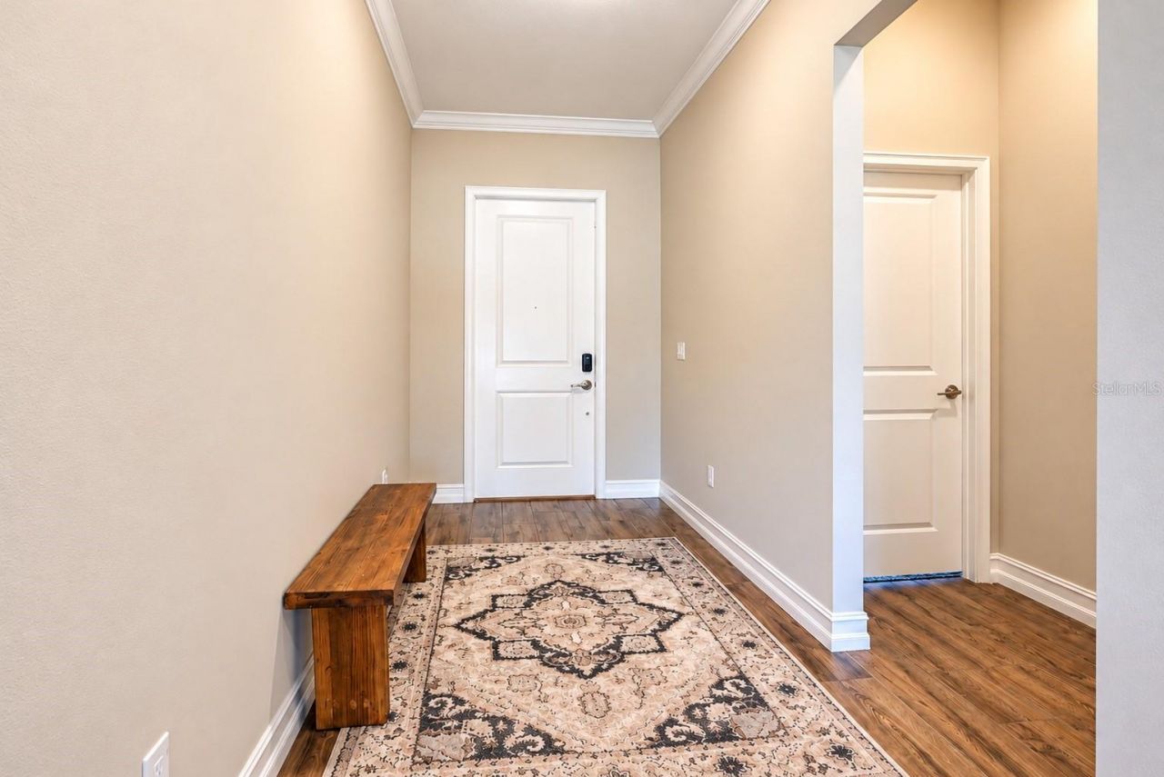 21481 Snowy Orchid Terrace, Land O Lakes, FL 34637 Photo