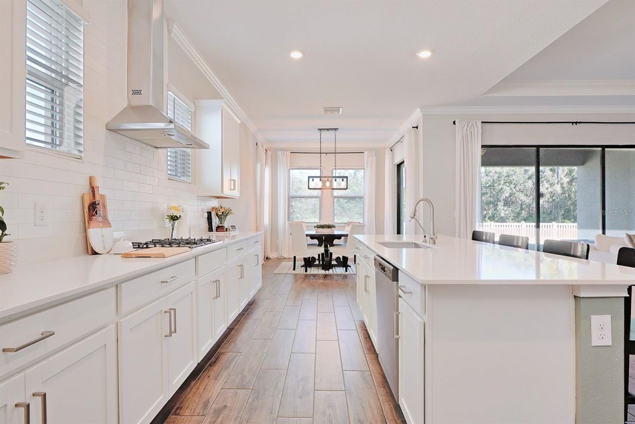 21481 Snowy Orchid Terrace, Land O Lakes, FL 34637 Photo