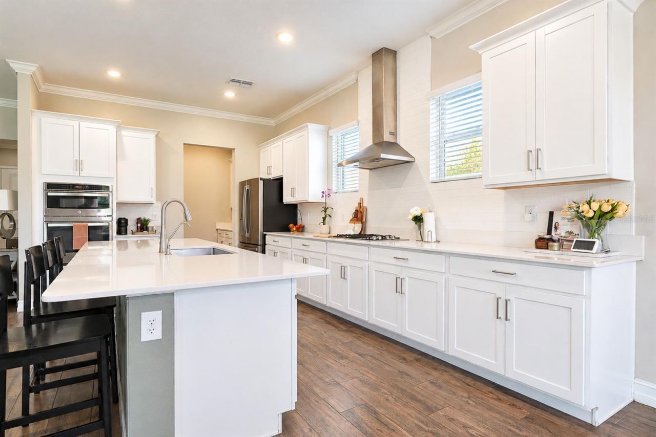 21481 Snowy Orchid Terrace, Land O Lakes, FL 34637 Photo