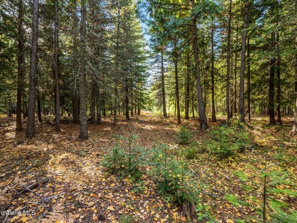 NNA Morris Road , Naples, ID 83847