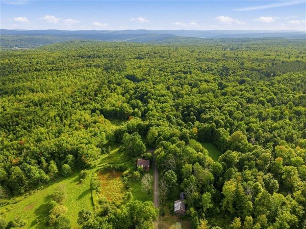 Dragoo Road, Schenevus, NY 12116