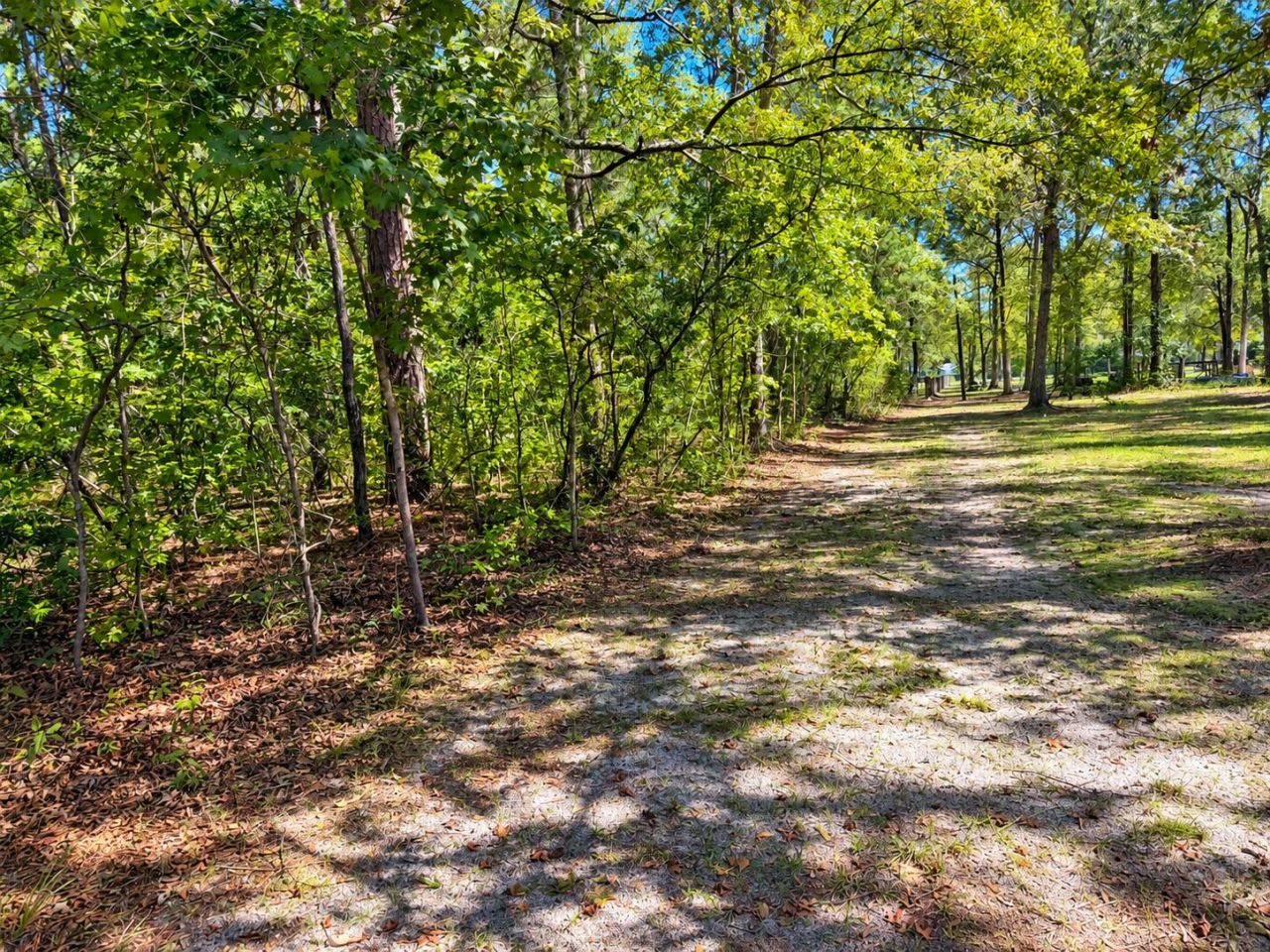 8127 Gabe (lot 2) Road Photo 4