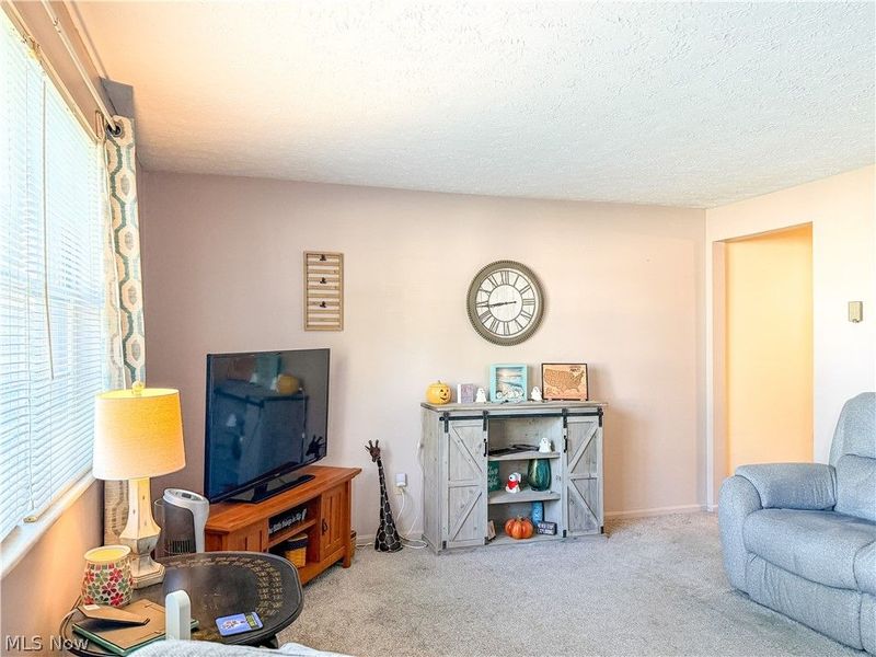 1721 Urban Circle S, Lorain, OH 44053 Photo 17