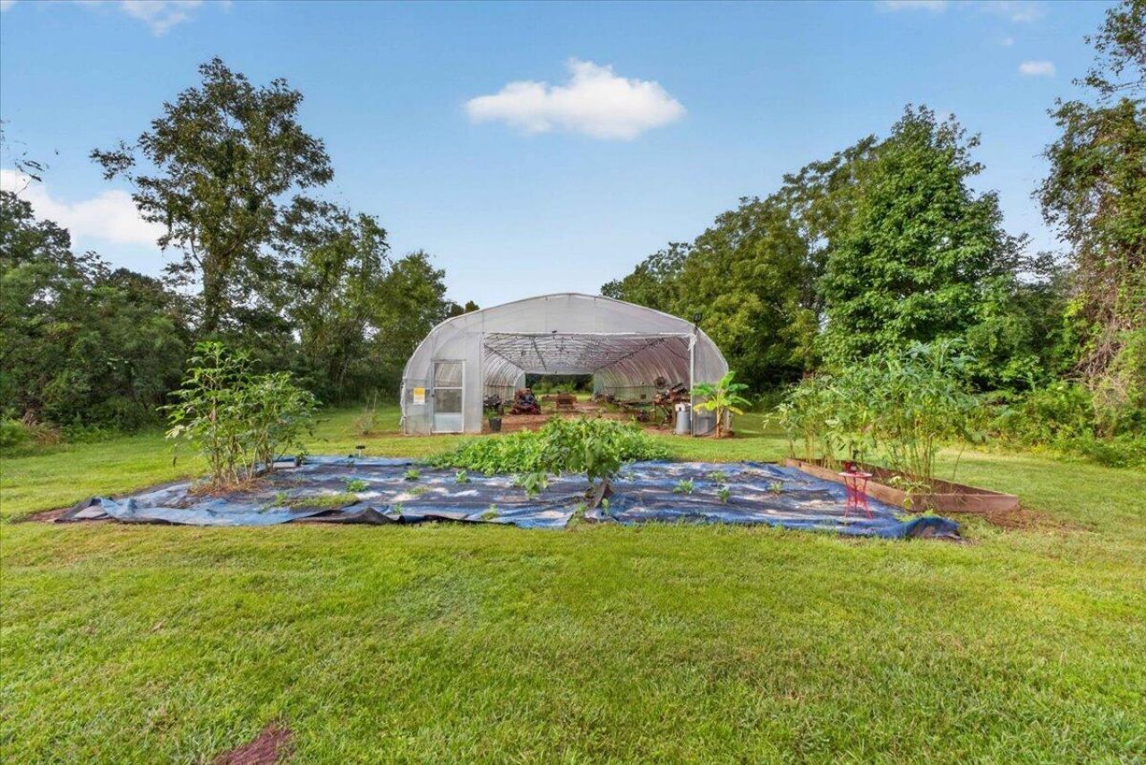 4651 Highway 165 Photo 50