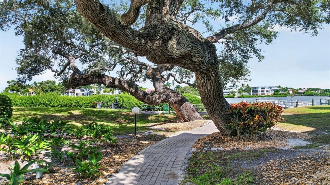 6157 Midnight Pass Road, Unit E53, Sarasota, FL 34242 Photo