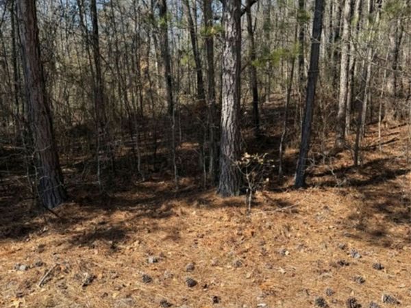 00 Vintage Road , Lilesville, NC 28091
