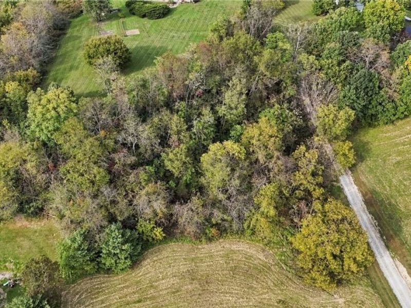 1035 Andy Drive, New Concord, OH 43762 Photo 4