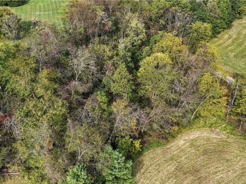 1035 Andy Drive, New Concord, OH 43762 Photo 7