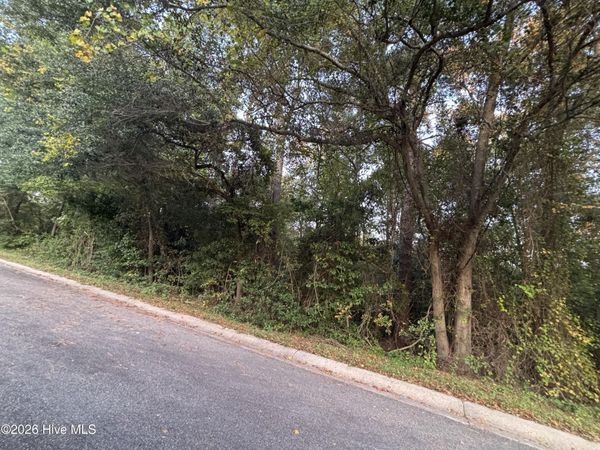 Tbd Mckinnon Road , Rockingham, NC 28379