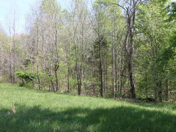 820 New Rd , Unit 3, Clarksville, TN 37040