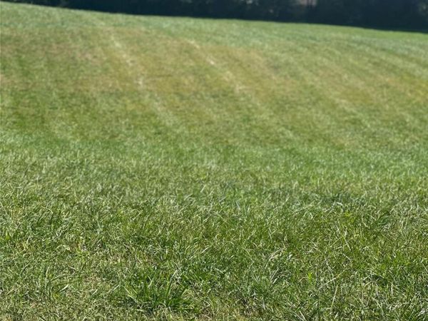 Lot 3 Saint Andrews Drive , North Wilkesboro, NC 28659