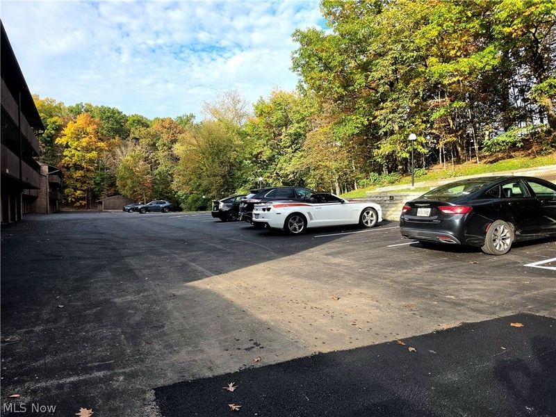 6850 Carriage Hill Drive, Unit D55, Brecksville, OH 44141 Photo 36