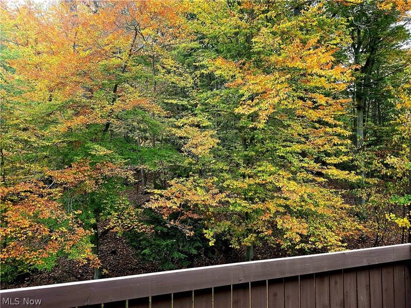 6850 Carriage Hill Drive, Unit D55, Brecksville, OH 44141 Photo 40